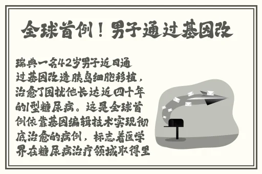 善良的公与媳在线播放